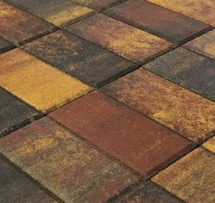 Тротуарная плитка Braer Прямоугольник ColorMix «Мальва», 200х100х60 мм